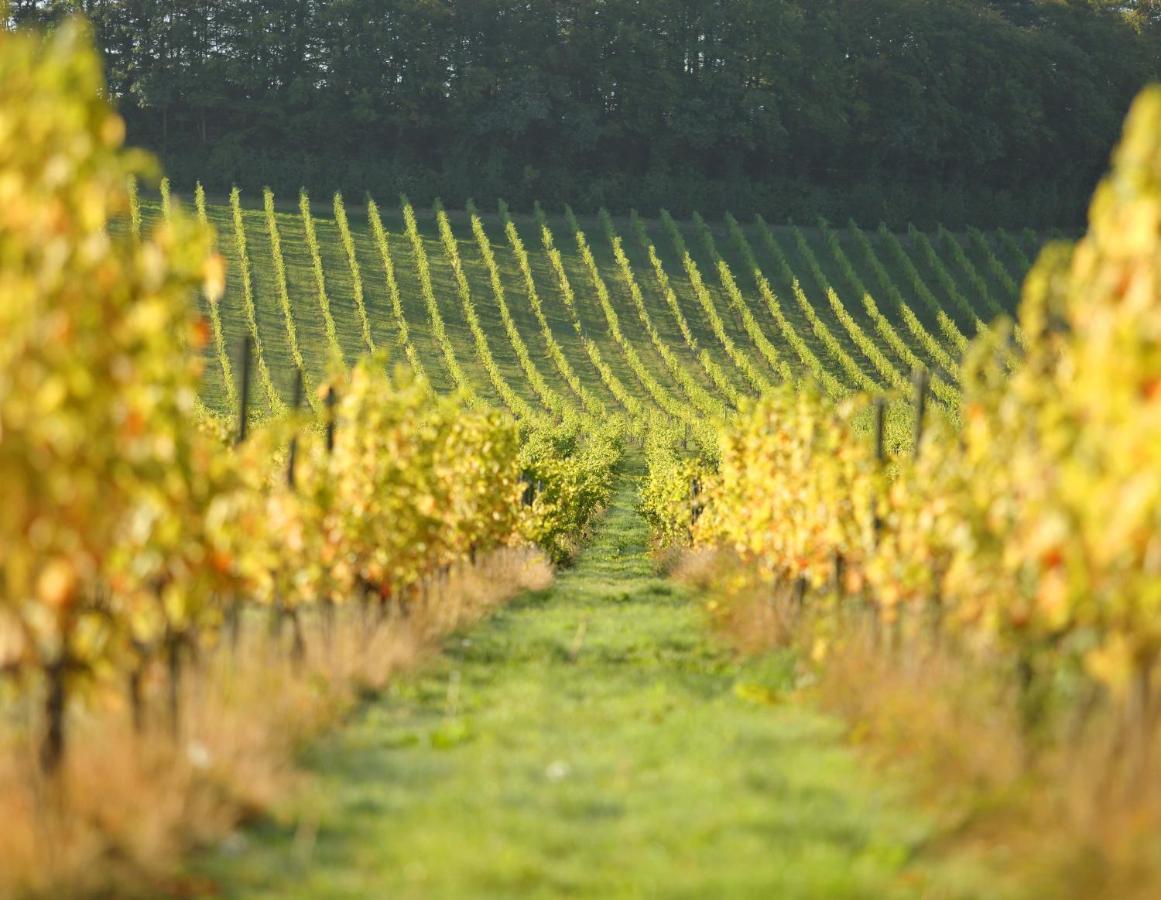 Denbies Vineyard Hotel Dorking Ngoại thất bức ảnh