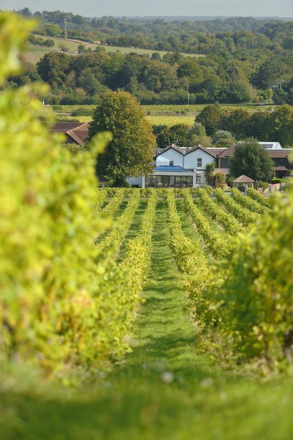 Denbies Vineyard Hotel Dorking Ngoại thất bức ảnh
