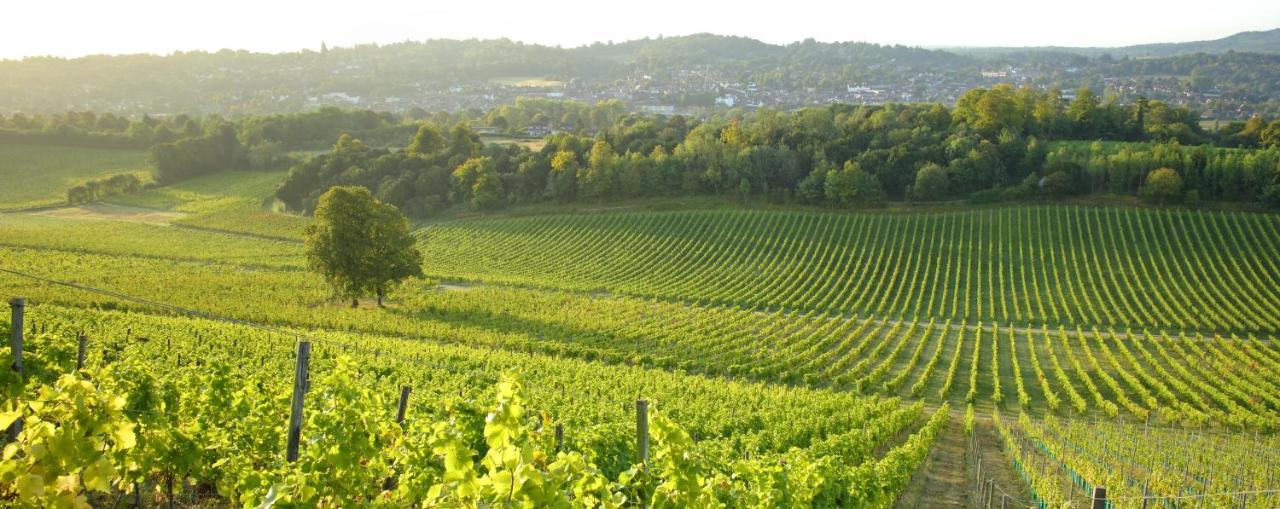 Denbies Vineyard Hotel Dorking Ngoại thất bức ảnh
