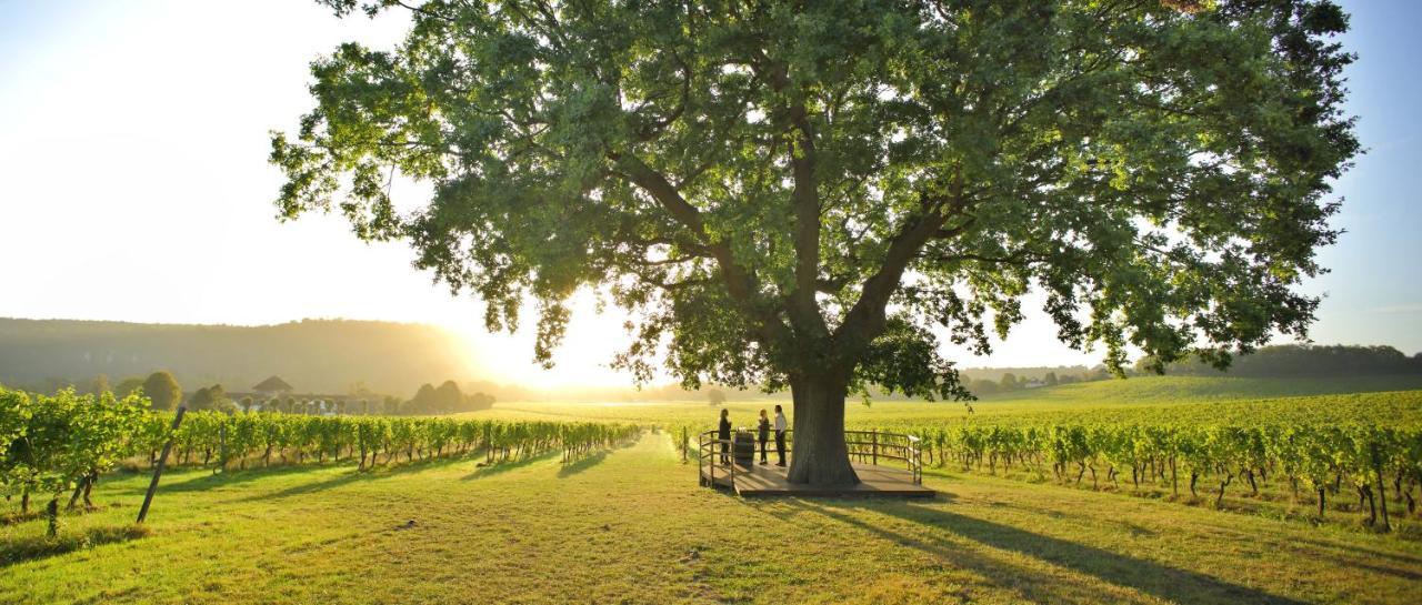 Denbies Vineyard Hotel Dorking Ngoại thất bức ảnh