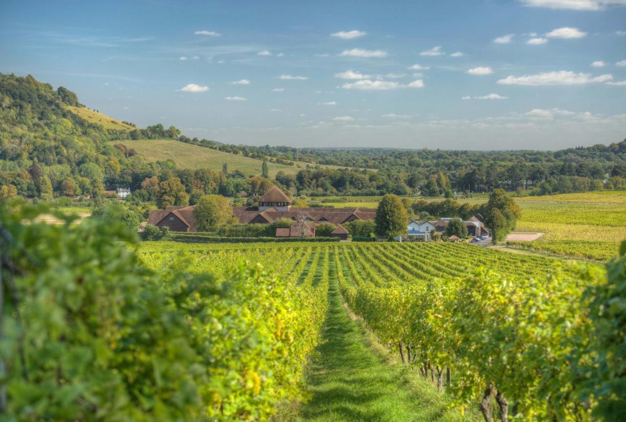 Denbies Vineyard Hotel Dorking Ngoại thất bức ảnh